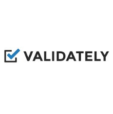e) Validately visual